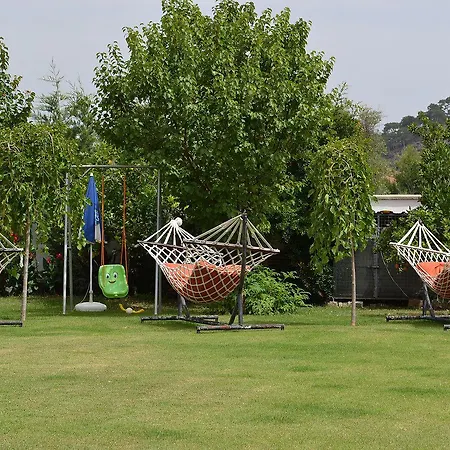 Crescent Hasirci 4* Ортаджа