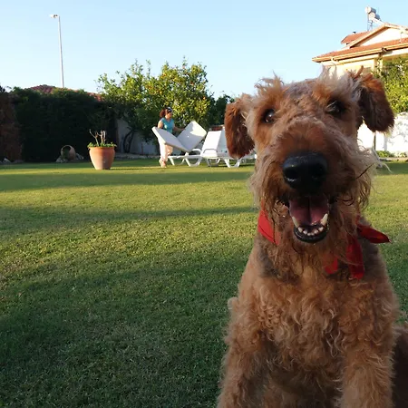 Отель Crescent Hasirci Ортаджа