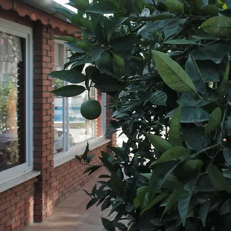 Crescent Hasirci Ортаджа